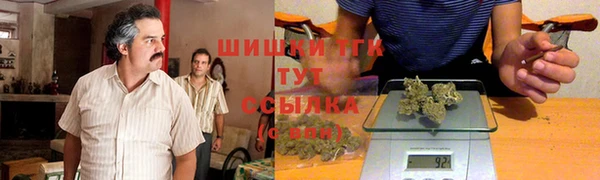 гидропоника Алзамай