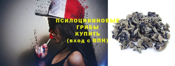 гидропоника Алзамай