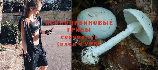 гидропоника Алзамай
